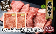 [12月配送]飛騨牛 切り落とし 300g×2パックセット みすじ ウデ すき焼き しゃぶしゃぶ 希少部位 600g 和牛 国産牛 発送時期が選べる 冷凍 飛騨高山 飛騨牛のこもり FC005VC12