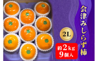 会津身しらず柿2L (9個入り) 約2kg 果樹園 壱心産|会津若松 果物 フルーツ 柿 身知らず みしらず かき カキ 会津身不知柿 令和6年 2024年 旬 [0828]