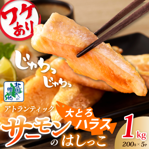 【総量1kg】大とろハラス 200g×5P アトランティックサーモン【小分け 鮭ハラス 腹ヒレ肉 昆布塩加工 はしっこ 訳あり 鮭 さけ シャケ しゃけ】 099H3903
 1530638 - 大阪府泉佐野市