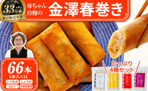 ＼TVで紹介されました／リピーター続出!!金澤春巻き 4種詰め合わせ 11袋  パリパリの皮が自慢の母ちゃん春巻き。冷めてもうまい お弁当に ビールのおつまみにも。＜最短2営業日以内発送・着日指定 可能＞【年末配送 おせち 春巻き はるまき 中華 ギフト 惣菜 冷凍 弁当 つまみ 人気 最速発送】