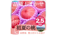 A-116[2025年7月より発送予定]※品種おまかせ※ 初夏の桃 約2.5kg[6〜10玉]※2025年発送先行予約分※ 農家直送 もも 桃