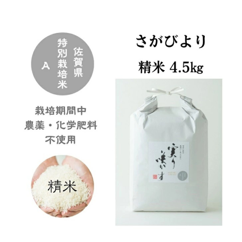 「実り咲かす」農薬・化学肥料不使用 さがびより 精米4.5kg：B155-005 1530758 - 佐賀県佐賀市