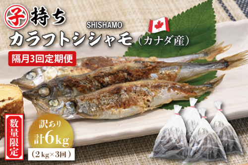 【定期便】 子持ち カラフトシシャモ ２kg (500g×4袋) 訳アリ シシャモ ししゃも カラフトししゃも 大洗 規格外 訳あり わけあり 傷 半年お届け（2ヶ月に1度 ２kg × 3回 お届け ） 1530766 - 茨城県大洗町