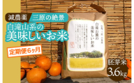 【6か月定期便】≪減農薬≫ 三原の絶景白滝山系の美味しいお米3.6kg（胚芽米）新米 002028