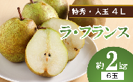 [令和6年産先行予約] 大玉ラ・フランス 約2kg (6玉 特秀 4L) [令和6年10月中旬〜発送] 『生産者 沼澤農園』 ラフランス 西洋梨 洋なし 果物 フルーツ デザート 山形南陽産 山形県 南陽市 [2250]