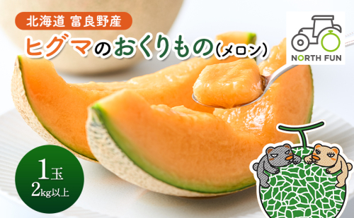 【2026年夏発送】富良野産 ヒグマのおくりもの(メロン)[1玉2kg以上] フルーツ 果物 1531212 - 北海道富良野市