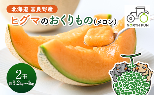 【2026年夏発送】富良野産 ヒグマのおくりもの(メロン)[2玉 計3.2kg以上] フルーツ 果物 1531213 - 北海道富良野市