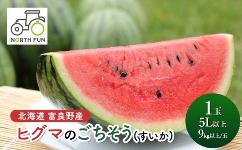 【2026年夏発送】富良野産 ヒグマのごちそう(すいか)[1玉 5L以上 9kg以上/玉] スイカ 果物 1531216 - 北海道富良野市