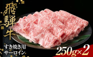 飛騨牛 すきやき用 サーロイン 250g×2 赤身 鍋 スライス肉