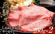 飛騨牛 しゃぶしゃぶ用 サーロイン 250g×2 赤身 鍋 スライス肉