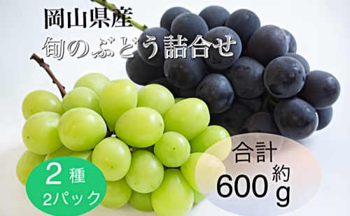 ぶどう 2025年 先行予約 旬のぶどう詰合せ 2種2パックセット(ニューピオーネ1房約300g×1P、シャインマスカット晴王1房約300g×1P) 1531319 - 岡山県玉野市