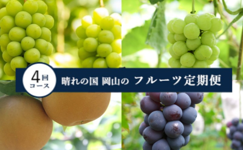 【2025年 先行予約 】晴れの国 岡山 の フルーツ 定期便 4回コース 岡山県産 葡萄 ぶどう 梨 なし 1531323 - 岡山県玉野市