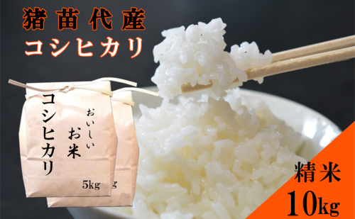 米 令和6年度産 新米 コシヒカリ 10kg  白米 精米 新米 生産者直送 直送 1531353 - 福島県猪苗代町