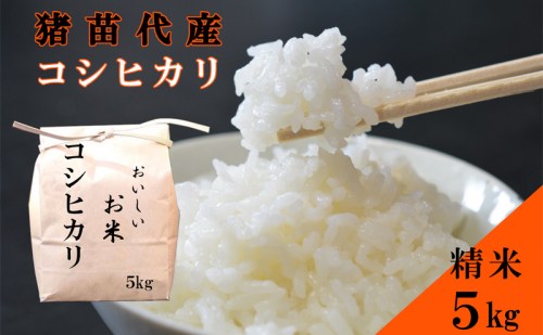 米 令和6年度産 新米 コシヒカリ 5kg 白米 精米 新米 生産者直送 直送 1531354 - 福島県猪苗代町