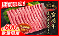 ≪お歳暮・冬ギフト2024≫数量限定 期間限定 宮崎牛 肩ウデ スライス 計600g 肉 牛肉 国産 すき焼き 人気 黒毛和牛 赤身 しゃぶしゃぶ A4 A5 等級 ギフト 贈答 小分け 食品 宮崎県 送料無料_BB131-233-ZO2