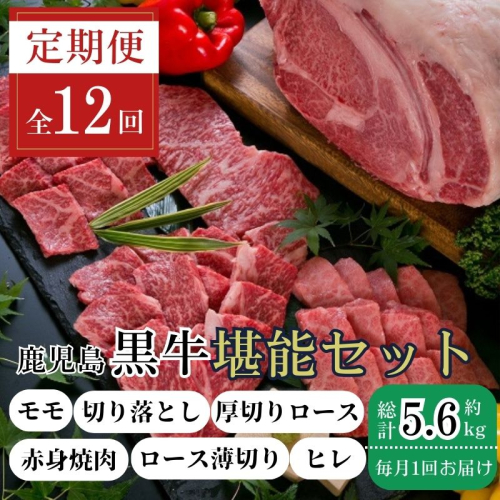  ＜定期便・全12回(連続)＞鹿児島黒牛定期便・堪能セット(全6種・合計5.6kg) 1531454 - 鹿児島県肝付町