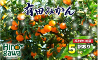 訳あり ご家庭用 農家直送 有田みかん 5kg サイズ混合 光センサー選別 [※11月中旬〜翌年1月中旬に順次発送予定] ※北海道・沖縄・離島への配送不可 / 温州みかん みかん 訳あり わけあり 家庭用[nuk004-noka-c5A]