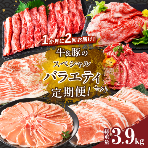 ≪定期便≫＼1か月に2回お届け!!／牛＆豚のスペシャルバラエティセット【総重量3.9kg】 牛肉 豚肉 国産_T030-033 1531714 - 宮崎県都農町