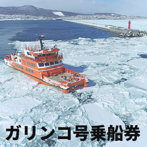 14-96 ガリンコ号3 IMERU 冬期運航 流氷クルーズ乗船券 1531725 - 北海道紋別市