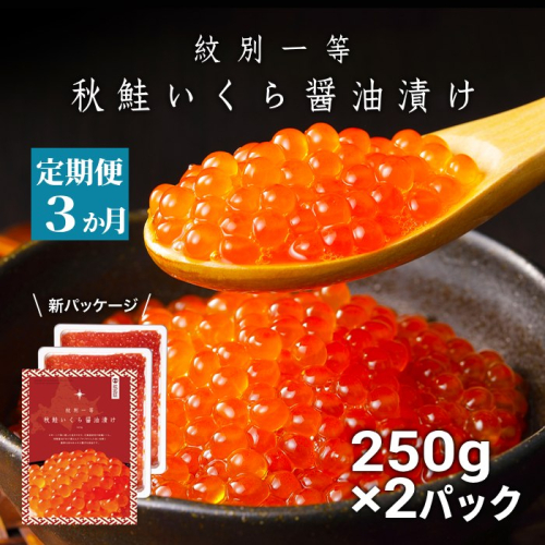 75-28 【定期便３か月】紋別一等～いくら醤油漬け500g（250g×2パック）×３回 1531732 - 北海道紋別市