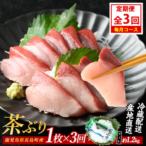 茶ぶりフィレ定期便 毎月 (全3回)  国産 鹿児島県産 ブリ 茶ぶり 鰤 海鮮 海産物 フィレ 魚介 魚 刺身 海鮮丼 産地直送 定期【ウスイ】usui-1383A7 1531860 - 鹿児島県長島町