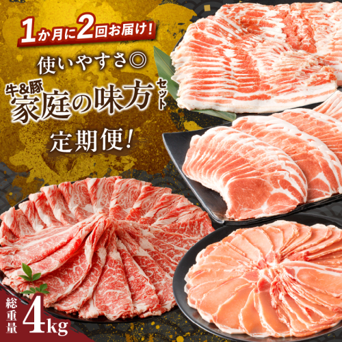 ≪定期便≫＼1か月に2回お届け!!／使いやすさ◎牛＆豚!!家庭の味方セット【総重量4kg】 肉 牛 牛肉 おかず 国産_T030-035 1531863 - 宮崎県都農町