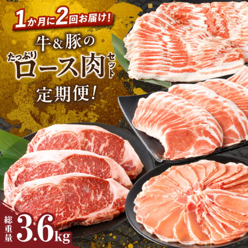 ≪定期便≫＼1か月に2回お届け!!／牛＆豚のたっぷりロース肉セット【総重量3.6kg】 肉 牛 牛肉 おかず 国産_T030-036 1531866 - 宮崎県都農町