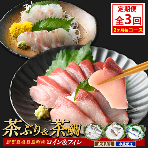 茶ぶり・茶鯛の定期便 2ヶ月毎 (全3回)  国産 鹿児島県産 ブリ 茶ぶり 鰤 茶鯛 鯛 海鮮 海産物 フィレ 魚介 魚 刺身 海鮮丼 産地直送 定期【ウスイ】usui-1604B 1531867 - 鹿児島県長島町