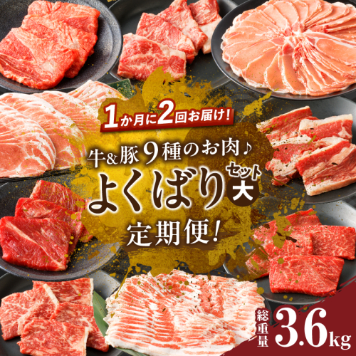 ≪定期便≫＼1か月に2回お届け!!／牛＆豚!!９種のお肉よくばりセット(大)【総重量3.6kg】 肉 牛 牛肉 おかず 国産_T030-038 1531878 - 宮崎県都農町