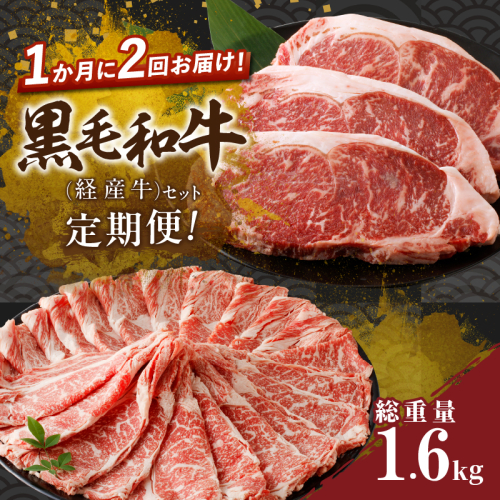 ≪定期便≫＼1か月に2回お届け!!／黒毛和牛(経産牛)セット【総重量1.6kg】 肉 牛 牛肉 おかず 国産_T030-047 1532025 - 宮崎県都農町