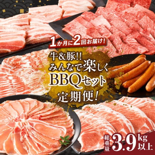 ≪定期便≫＼1か月に2回お届け!!／牛＆豚!!みんなで楽しくBBQセット【総重量3.9kg以上】 肉 牛肉 豚肉 おかず 国産_T030-043 1532028 - 宮崎県都農町