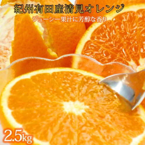 とにかくジューシー清見オレンジ　2.5kg
※2025年3月下旬～4月中旬頃に順次発送予定 1532040 - 和歌山県美浜町