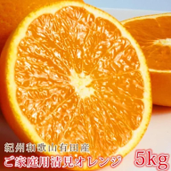 【ご家庭用訳アリ】紀州有田産清見オレンジ　5kg※2025年3月下旬～4月中旬頃に順次発送予定