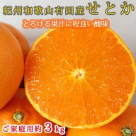 とろける食感!ジューシー柑橘 せとか 約3kg 【家庭用 訳あり】※2025年2月下旬～3月中旬頃に順次発送予定