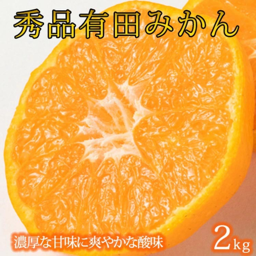 秀品 有田みかん 2kg 2S～Lサイズのいずれか◇ ※2025年11月下旬〜2026年1月下旬頃に順次発送予定 ふるさと納税 みかん 1532043 - 和歌山県美浜町