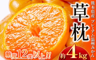 プレミアム温州 みかん 「 草枕 」 約 4kg | 果物 くだもの フルーツ 柑橘 柑橘類 温州みかん ミカン 旬 味覚 熊本県 玉名市