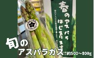 [令和7年の先行予約]旬の野菜 アスパラ 約500〜800g [2025年4月以降順次発送] 新潟県 五泉市 まるっと五泉プロジェクトFunSpace株式会社