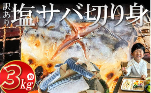 訳あり 塩サバ 切り身 約3kg (約40切前後入り) 冷凍 鯖 塩 さば 魚 さかな 海鮮 海産物 おかず サバ 鯖ご飯 おすすめ 人気 さば サバ  鯖 魚 魚介 海鮮 惣菜 塩サバ 塩鯖 焼き鯖 サバ 焼きさば 焼さば 減塩  塩 鯖 さば サバ おすすめ 人気 ふるさと納税 鯖 サバ さば ふるさと納税さば 愛知県南知多町 南知多 株式会社 山太 さば 鯖 人気 おすすめ 愛知県 南知多町