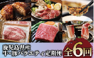 【全６回定期便】鹿児島県産牛・豚バラエティ定期便(Z120-1728) 牛 牛肉 肉 豚 豚肉 黒豚 茶美豚 サーロイン ステーキ 黒毛和牛 豚スライス 豚スラ カタロース ウデスライス ハンバーグ 餃子 中華 中華料理 黒豚餃子 鍋 しゃぶしゃぶ
