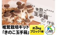 椎茸栽培キット「きのこ玉手箱」約3kg ブロック×1個