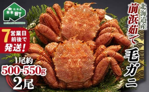 【7営業日前後で発送】北海道 毛ガニ 前浜茹で毛がに 約500g～550g 2尾 かに カニ 蟹 ガニ がに 森町 毛蟹 毛かに 毛がに 毛カニ 毛ガニ mr1-0687-1 1532253 - 北海道森町