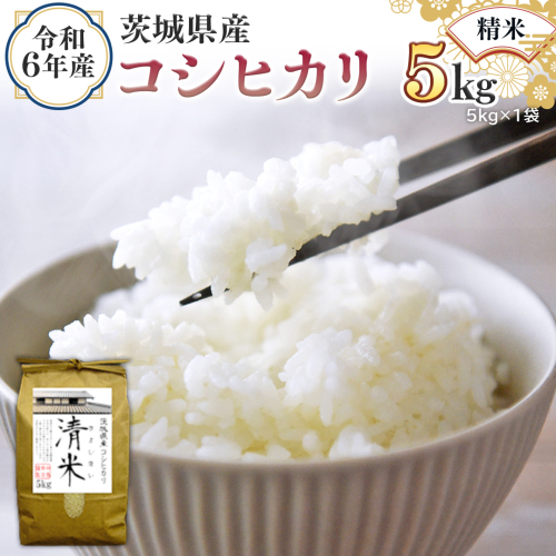 令和6年産 茨城県産 精米 コシヒカリ 5kg （5kg×1袋） 新米 白米 清米 キヨシマイ こしひかり 米 コメ こめ 単一米 限定 茨城県産 国産 美味しい お米 おこめ おコメ [EH01-NT] 1532257 - 茨城県つくばみらい市