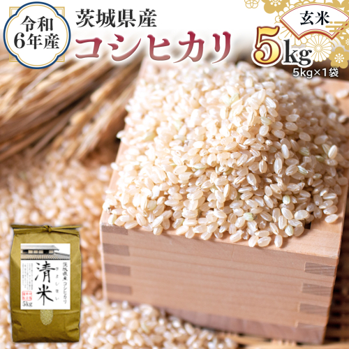 令和6年産 茨城県産 玄米 コシヒカリ 5kg （5kg×1袋） 新米 清米 キヨシマイ こしひかり 米 コメ こめ 単一米 限定 茨城県産 国産 美味しい お米 おこめ おコメ [EH04-NT] 1532262 - 茨城県つくばみらい市