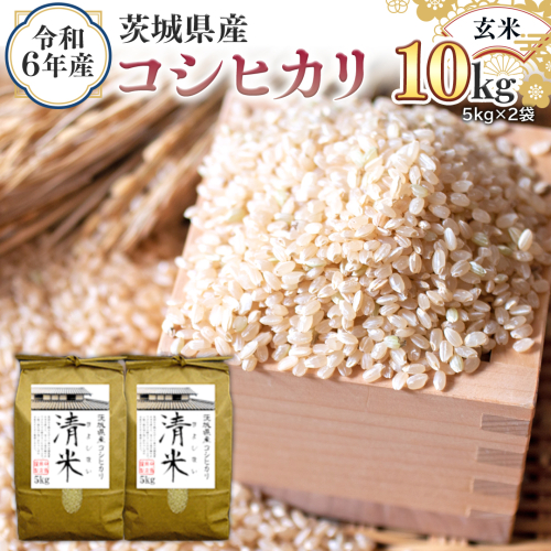 令和6年産 茨城県産 玄米 コシヒカリ 10kg （5kg×2袋） 新米 清米 キヨシマイ こしひかり 米 コメ こめ 単一米 限定 茨城県産 国産 美味しい お米 おこめ おコメ [EH05-NT] 1532268 - 茨城県つくばみらい市