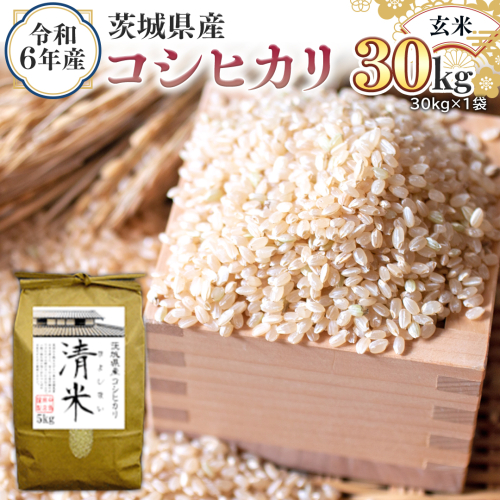 令和6年産 茨城県産 玄米 コシヒカリ 30kg（30kg×1袋） 新米 清米 キヨシマイ こしひかり 米 コメ こめ 単一米 限定 茨城県産 国産 美味しい お米 おこめ おコメ [EH06-NT] 1532269 - 茨城県つくばみらい市