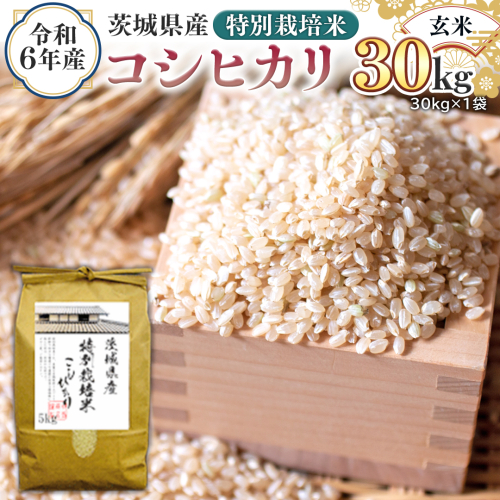 令和6年産 茨城県産 玄米 特別栽培米 コシヒカリ 30kg （30kg×1袋） 新米 こしひかり 米 コメ こめ 単一米 限定 茨城県産 国産 美味しい お米 おこめ おコメ [EH12-NT]
 1532335 - 茨城県つくばみらい市