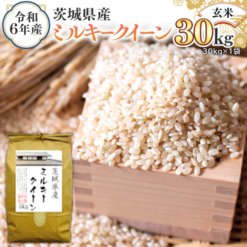 令和6年産 茨城県産 玄米 ミルキークイーン 30kg （30kg×1袋） 新米 米 コメ こめ 単一米 限定 茨城県産 国産 美味しい お米 おこめ おコメ [EH18-NT] 1532341 - 茨城県つくばみらい市