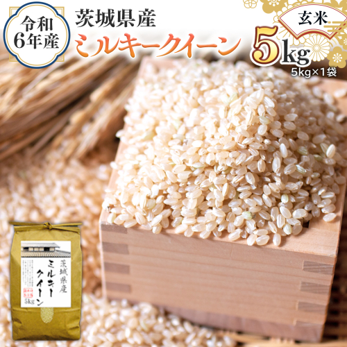 令和6年産 茨城県産 玄米 ミルキークイーン 5kg （5kg×1袋） 新米 米 コメ こめ 単一米 限定 茨城県産 国産 美味しい お米 おこめ おコメ [EH16-NT] 1532343 - 茨城県つくばみらい市