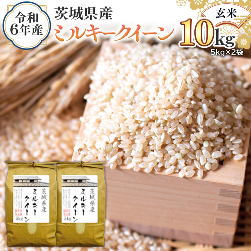 令和6年産 茨城県産 玄米 ミルキークイーン 10kg （5kg×2袋） 新米 米 コメ こめ 単一米 限定 茨城県産 国産 美味しい お米 おこめ おコメ [EH17-NT] 1532344 - 茨城県つくばみらい市