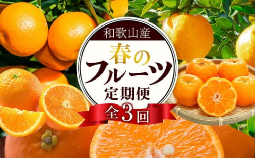 和歌山の春のフルーツ（ポンカン・清見オレンジ・セミノールオレンジ）定期便 全3回 【2月・3月・4月発送】【TM184】 1532366 - 和歌山県九度山町